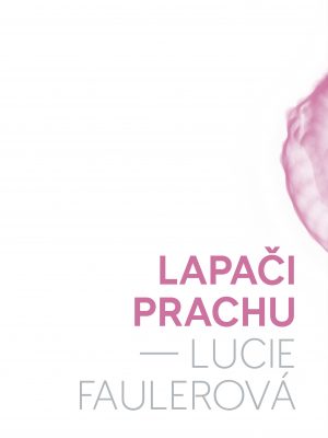 lapaci-prachu